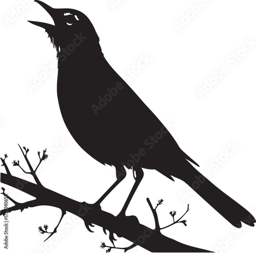Black bird singing on a bare branch silhouette