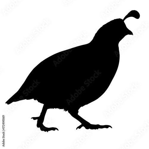 A quail silhouette vector file