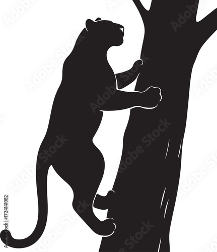 Black panther climbing tree silhouette big cat