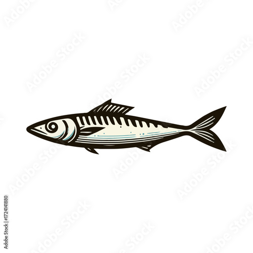 
sardine fish illustration design