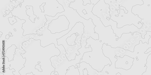 Abstract grey topography curve line texture geographic terrain grid map minimalist mountain relief monochrome landscape background, geometric seamless wavy line contour pattern modern art design.