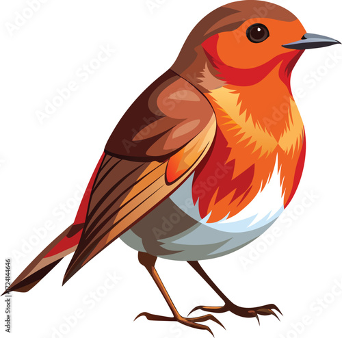Detailed European Robin Full Color Vector Illustration for Garden Wildlife, Nature Themes, and Seasonal Design, Isolated on White Background.

