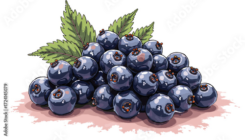 Detailed Botanical Illustration of Plump Blueberries with Green Leaves