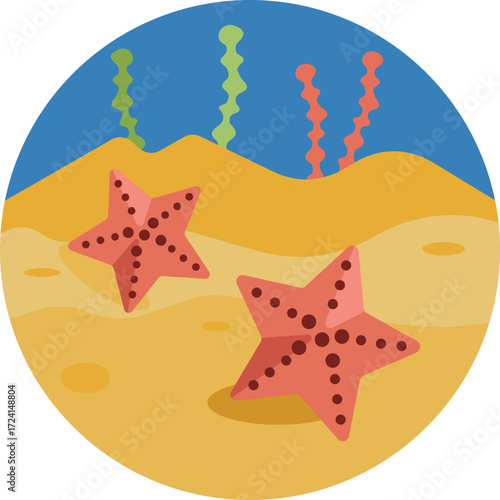 A colorful star-shaped animal that clings to rocks and coral.