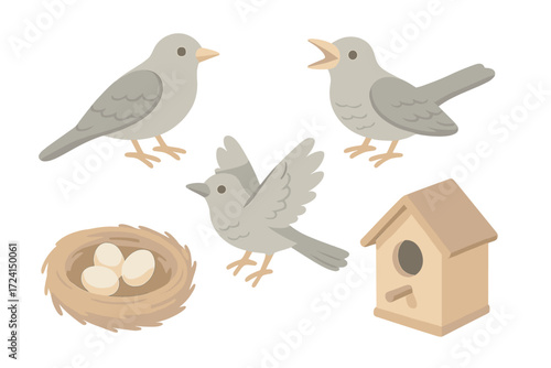 Cuckoo Bird Elements. Isometric vector illustration set Cuckoo bird details: bird figurine, beak open chirp, wings spread, nest,