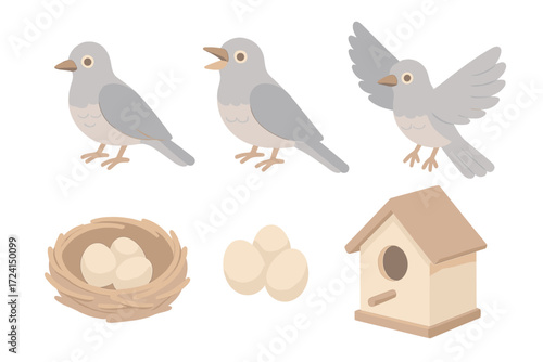 Cuckoo Bird Elements. Isometric vector illustration set Cuckoo bird details: bird figurine, beak open chirp, wings spread, nest,