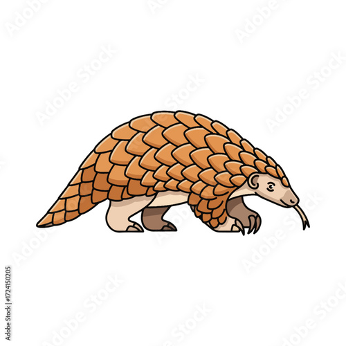 
pangolin illustration design