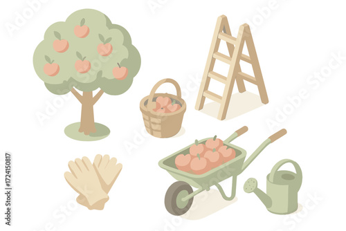 Seasonal Fruit Harvest. Isometric vector illustration set Seasonal fruit picking: apple orchard tree, wooden ladder, wicker basket