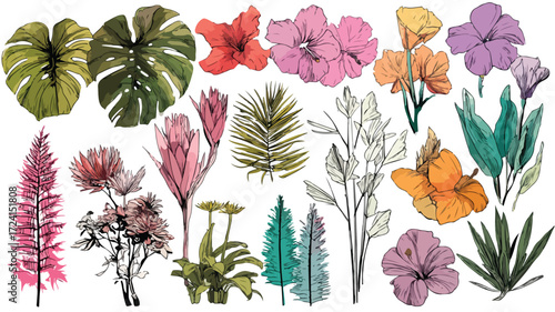 Exotic Tropical Plants and Flowers Vector Collection for Vibrant Design Projects