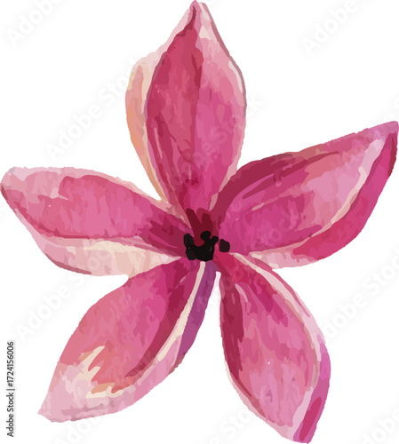 Tropical Floral Vector Pattern