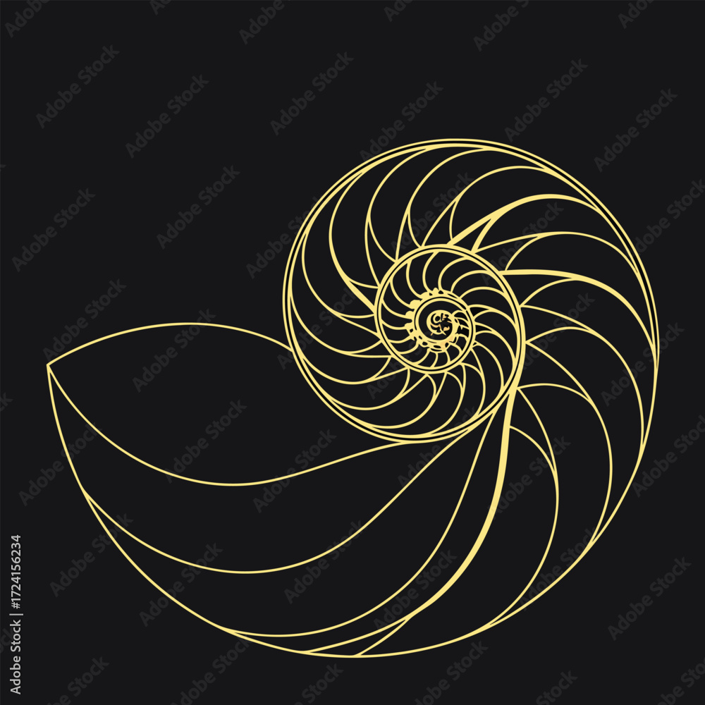 Obraz premium Golden Nautilus Shell Spiral Geometric Pattern on Black Background vector
