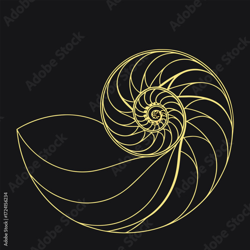 Golden Nautilus Shell Spiral Geometric Pattern on Black Background vector