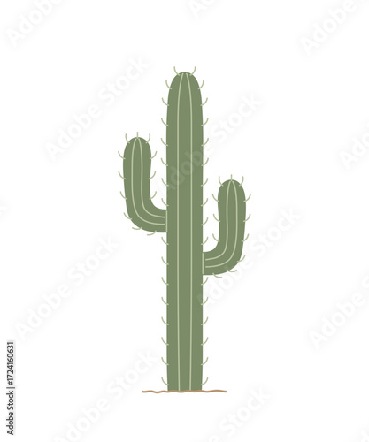 Cactus with prickles. Desert spiny plant. Hand-drawn botanical colored flat vector illustration isolated on white background.