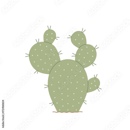 Cactus with prickles. Opuntia. Green tropical plant. Flat vector illustration isolated on white background.