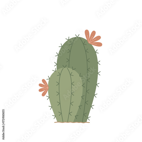 Green cactus. Two blooming cacti. Hand-drawn botanical colored flat vector illustration isolated on white background.