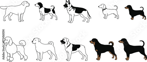 Dog breed illustration, side profile view, stylized vector, pet identification, canine diversity, educational chart, simplified animal drawing