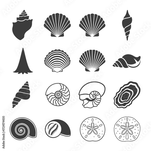 Collection of Various Seashell Silhouettes Detailed Line Art for Design and Decoration