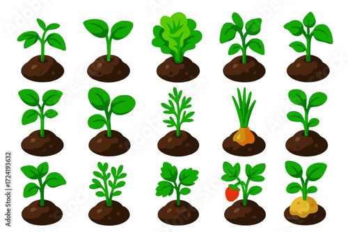 Colorful Seedling Sprouts. Isometric vector illustration set Green Seedlings: tomato sprout, cucumber sprout, lettuce sprout,