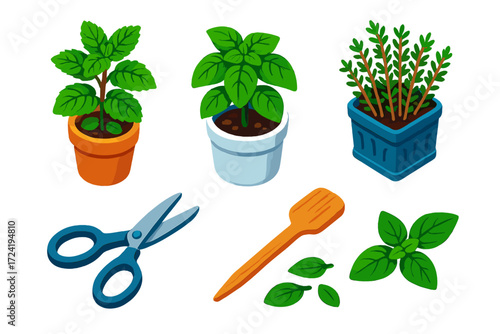 Culinary Herb Collection. Isometric vector illustration set Culinary Herb Collection: small terracotta pot with mint, white
