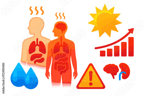 Sun Exposure Stages. Isometric vector illustration set Sun Exposure Infographic: layered human body showing stages of heat