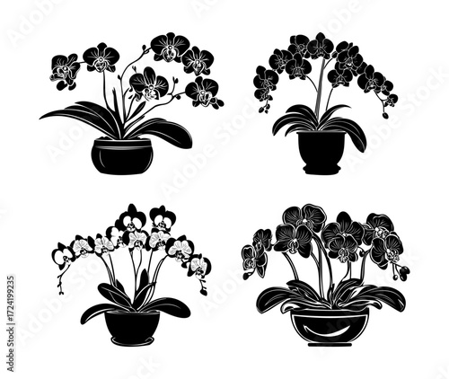 Orchid Flower Pot Silhouette Vector Set
