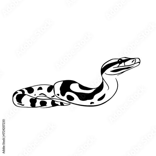 Boa Constrictor. Boa Constrictor simple black and white line art vector logo