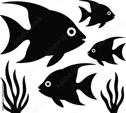 Angelfish Silhouette Vector Illustration Isolated Black Art