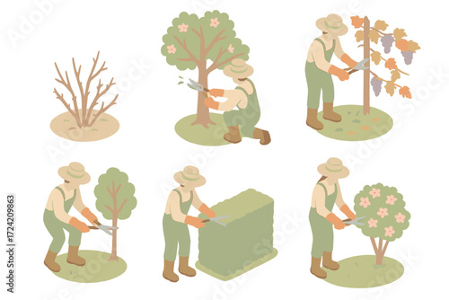 Seasonal Pruning Tasks. Isometric vector illustration set Seasonal Pruning Tasks: rose bush in winter cutback, fruit tree spring
