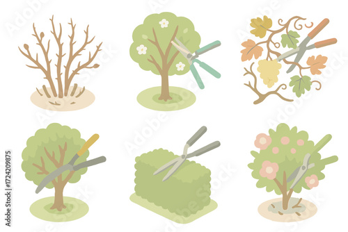 Seasonal Pruning Tasks. Isometric vector illustration set Seasonal Pruning Tasks: rose bush in winter cutback, fruit tree spring