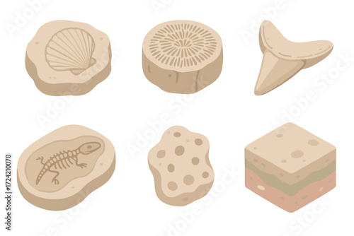 Ancient Ocean Fossils. Isometric vector illustration set Ancient ocean fossils: seashell imprint stone, coral fossil cross-section