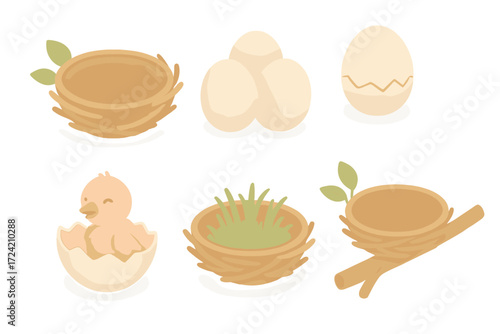 Pastel Hatchling Emergence. Isometric vector illustration set nest twig egg hatchling: twig and leaf nest, group of eggs, opening