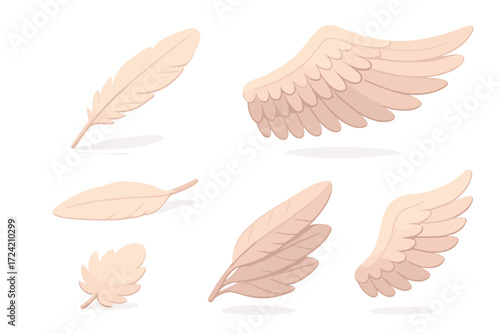 Feather and Wing Collection. Isometric vector illustration set feather flight wing molt: quill feather floating, spread eagle wing