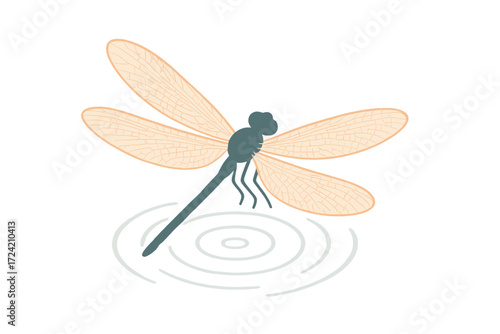 Dragonfly in Motion. Isometric vector illustration set dragonfly wing agile hover: hovering dragonfly silhouette, four extended