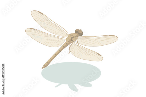 Dragonfly Hovering Elegance. Isometric vector illustration set dragonfly wing agile hover: dragonfly detailed flight, four