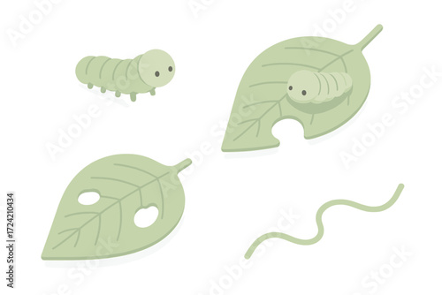 Caterpillar Munching Leaf. Isometric vector illustration set caterpillar crawl leaf munch: small caterpillar body, munching leaf
