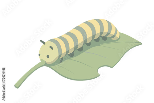 Caterpillar Crawling on Leaf. Isometric vector illustration set caterpillar crawl leaf munch: striped caterpillar body, crawling
