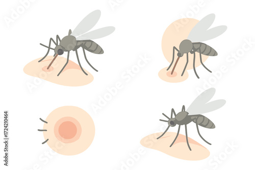 Mosquito Bite Illustration. Isometric vector illustration set mosquito proboscis bite itch: mosquito close-up feeding, needle-like