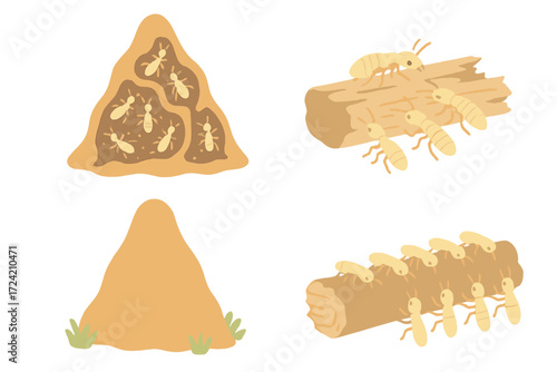 Termite Mound Cross-Section. Isometric vector illustration set termite mound wood decompose: termite hill cross-section, visible