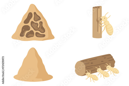 Termite Mound Cross-Section. Isometric vector illustration set termite mound wood decompose: termite hill cross-section, visible