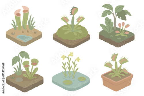 Carnivorous Plant Habitats. Isometric vector illustration set Carnivorous plant habitats: bog wetland ground, mossy acidic soil,