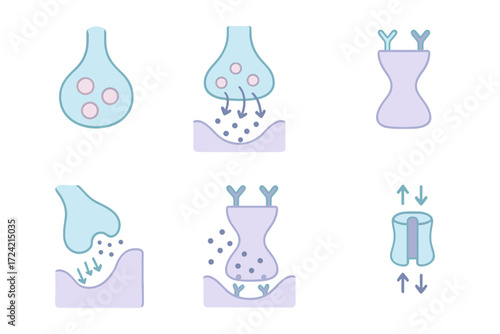 Synapse Communication Diagram. Isometric vector illustration set Synapse Communication: presynaptic terminal bulb,