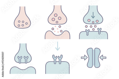 Synapse Communication Diagram. Isometric vector illustration set Synapse Communication: presynaptic terminal bulb,