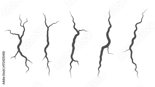 A collection of five distinct vertical crack silhouettes with branching elements on a white background representing damage and fracture