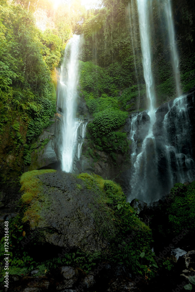 Obraz premium Stunning twin waterfalls surrounded by lush tropical rainforest, cascading down mossy cliffs and rocks, creating a breathtaking natural landscape filled with serenity and beauty.