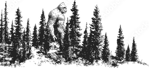 Bigfoot sketch hand drawn in forest landscape with pine trees — stock vector