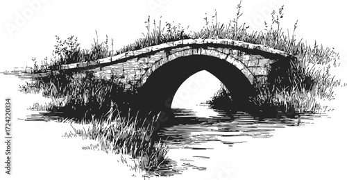 Stone bridge sketch hand drawn over river with grass and plants — stock vector