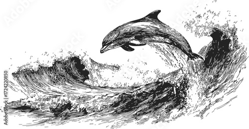 Dolphin sketch hand drawn leaping over ocean waves — stock vector
