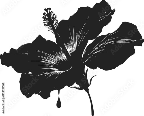 Hibiscus flower sketch hand drawn silhouette with detailed petals — stock vector