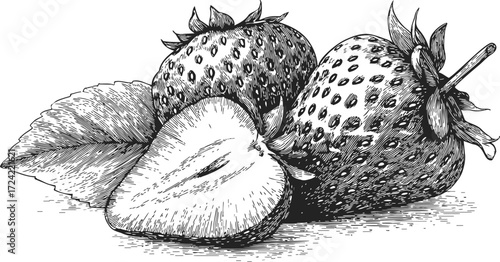 Strawberries sketch hand drawn detailed fruit with leaves and sliced half — stock vector