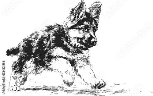 German Shepherd puppy sketch, hand drawn, running playful pose, black and white — stock vector